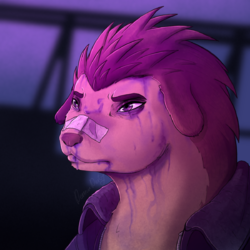 sovlin.png