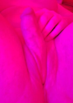 r7h1ad3daa9c1.jpg