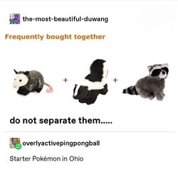 304.jpg