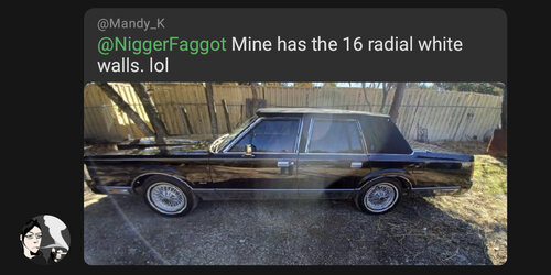 mandycar3.jpeg