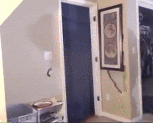 chair run.gif