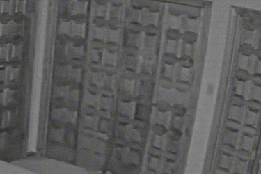goodhydedoor.gif