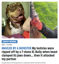 Testes Torn off.png