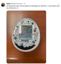 1704227695604.png