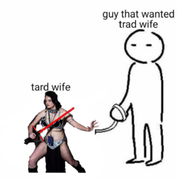 whydidIwastemytime.png