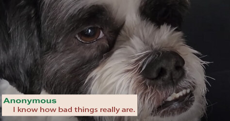 BUSTERBAD.jpg