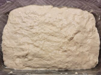 Pan De Cristal dough mixed.jpg