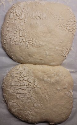 Pan De Cristal divided and risen2.jpg