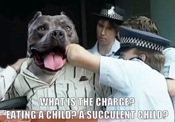 all-bully-xl-owners-after-hearing-of-the-uks-proposed-ban-v0-Eif-U4s-N4-Y7-OFk-Lp-SIqd-N29-VCx...jpg