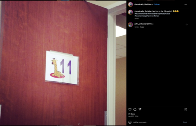 nat-113.png