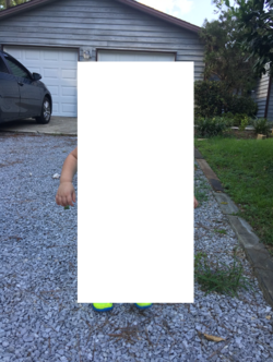1704308820169.png