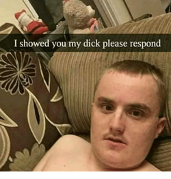 491.png