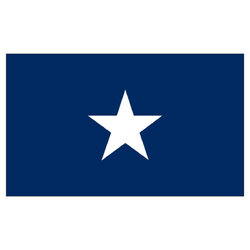 Bonnie Blue Flag.jpg