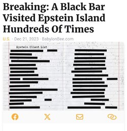Screenshot_20240103_201202_Babylon Bee.jpg
