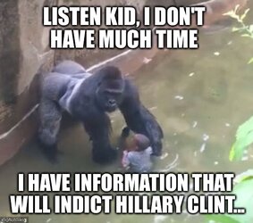 Harambe-Memes-Listen-Kid-I-Dont-Have-Much-Time-I-Have-Information-That.jpg