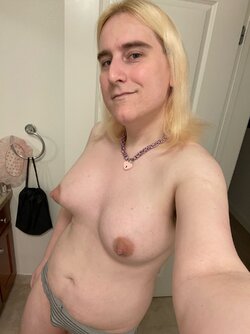 bafkreif5acl45zniwegcvc6pmrv4q6v2sklxa3vce4jvhqovhuiedxvrai.jpg