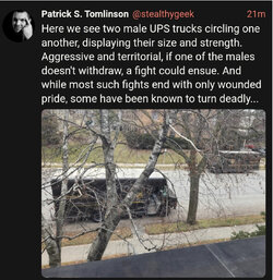 IMG_2510.jpeg