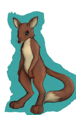 Yotul.png