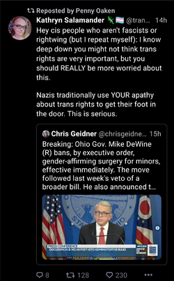 traditional nazis.png