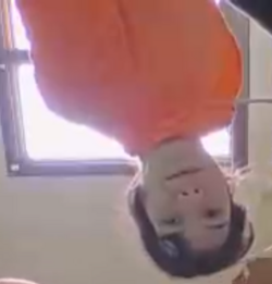 wat.png