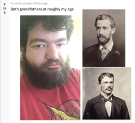 1689586836115.png