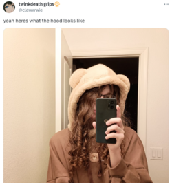 1704706353061.png
