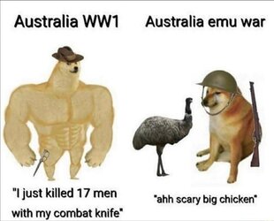 1704735351031.jpeg