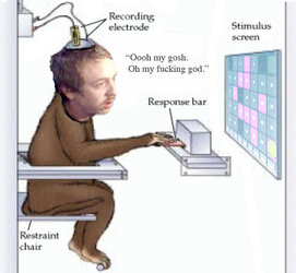 bmj monkey.jpg