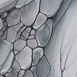20240108_153650.JPG