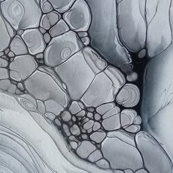 20240108_153658.JPG