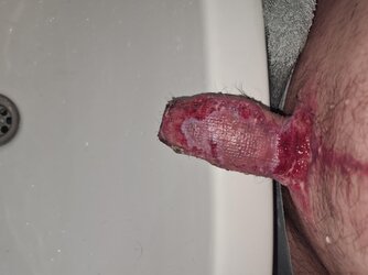 wcthj7zyyfbc1.jpg