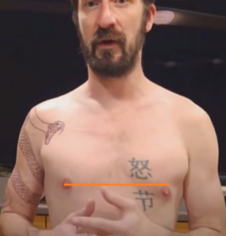 Nick's Nipples.png
