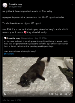 1704862348204.png