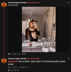 Screenshot 2023-10-31 223356.png