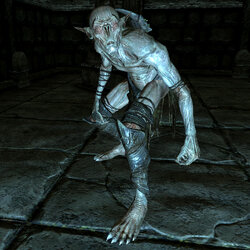 SR-creature-Falmer.jpg