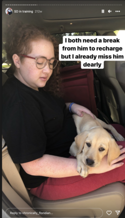story-041.png