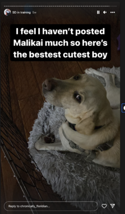 story-046.png