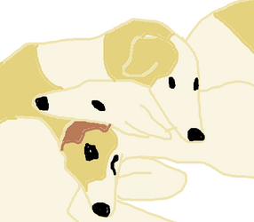 borzoi.png
