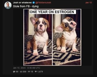 untitled1.jpg