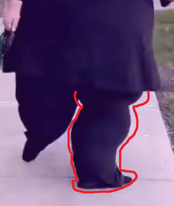 leg.png