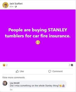 fatty_stanley.JPG