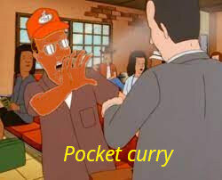 pocketcurry.jpg