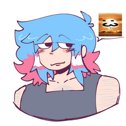 1705158117585.png