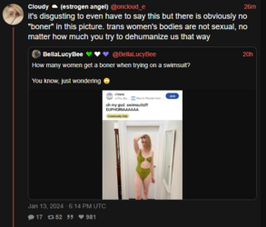 NO BONER.PNG