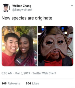 1705241855371.png