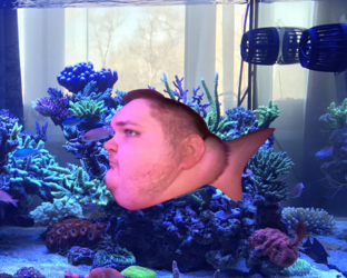 FatFish.png
