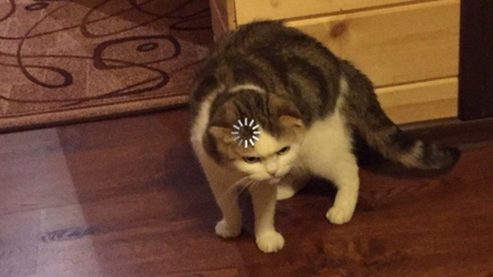 1705304943508.png
