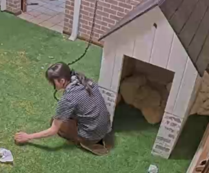 1705380315957.png