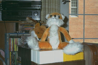 firstfox.jpg