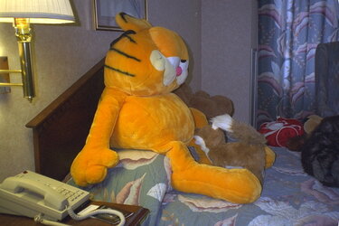 pcd03007.jpg